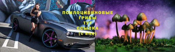 ГАЛЛЮЦИНОГЕННЫЕ ГРИБЫ Заволжье