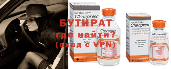 ГАЛЛЮЦИНОГЕННЫЕ ГРИБЫ Заволжье
