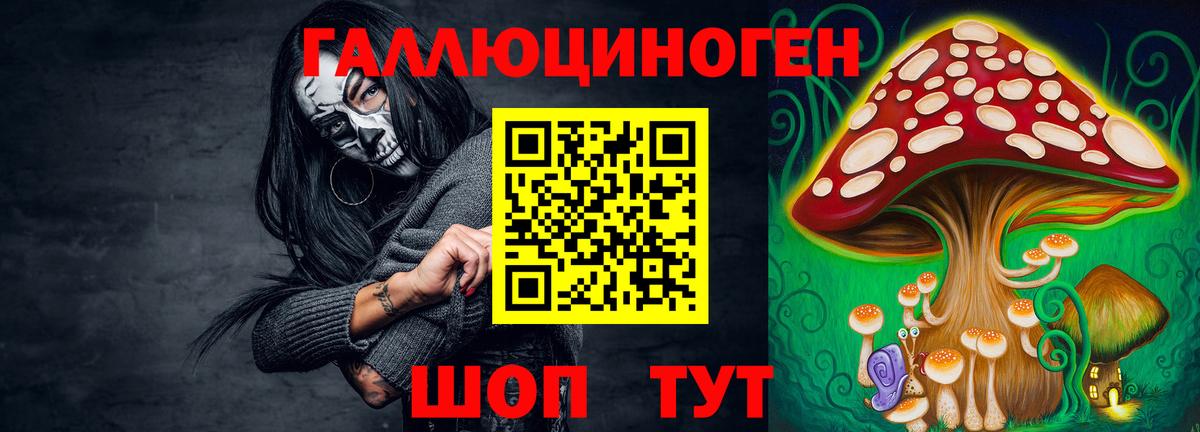 Псилоцибиновые грибы Psilocybe  Димитровград 