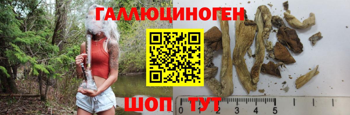 Галлюциногенные грибы прущие грибы Димитровград