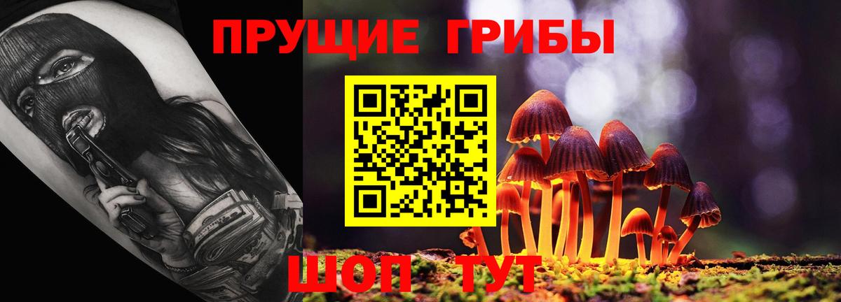 Галлюциногенные грибы Cubensis Димитровград