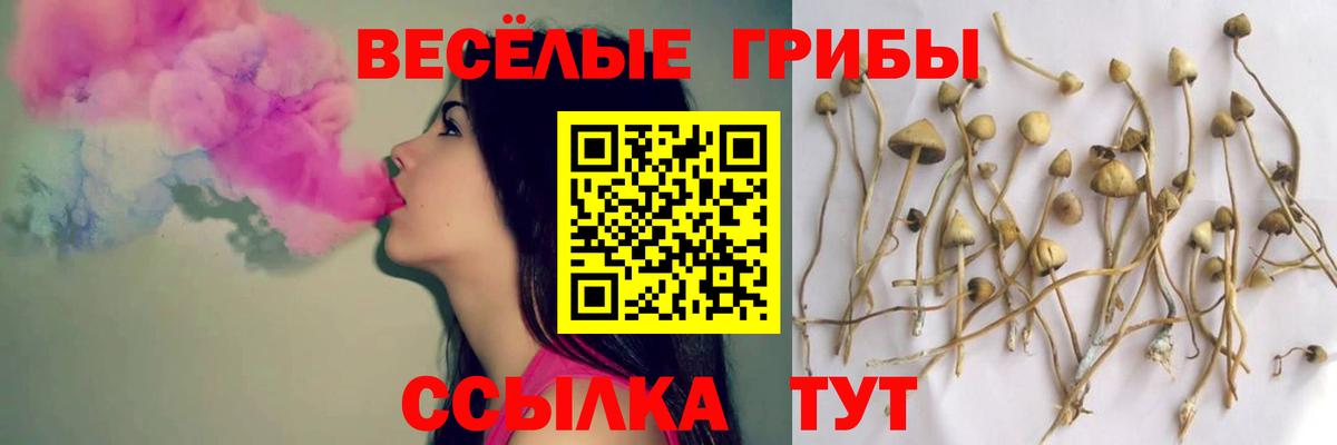 Псилоцибиновые грибы MAGIC MUSHROOMS  Галлюциногенные грибы GOLDEN TEACHER  Вход с VPN  Димитровград 