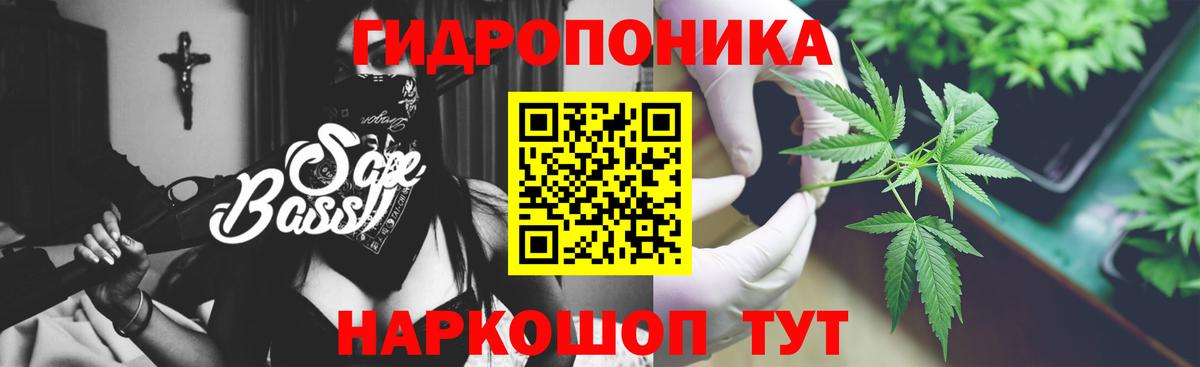 Бошки марихуана Bruce Banner  Димитровград  МАРИХУАНА MAZAR  Марихуана OG Kush  Каннабис сатива 